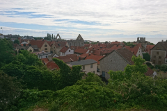 DSC_0508