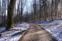 DSC_1608