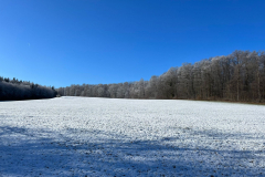 IMG-20230316-WA0000