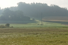 DSC_1221