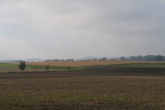 DSC_1224