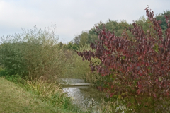 DSC_1230