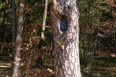 DSC_1574