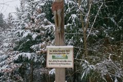 DSC_1386