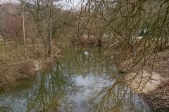 DSC_1528