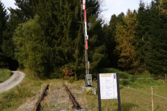 DSC_1229