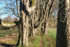 DSC_1366
