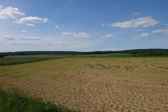 DSC_0537