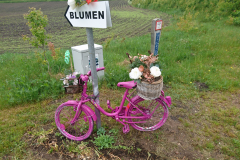 24.05.2022