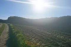 183e5f86c3e