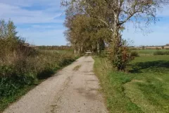 183e5f89bac