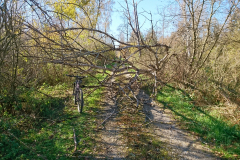 DSC_1207