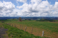 DSC_0027