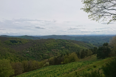 DSC_0072