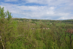 DSC_0087