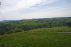 DSC_0095
