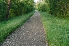DSC_0224