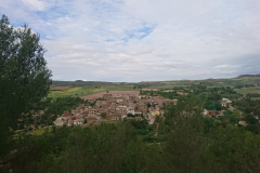 DSC_0326
