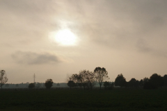 DSC_1184