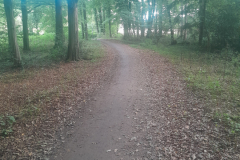 20250920_085633 20250920_085633