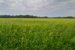 20250920_135845 20250920_135845