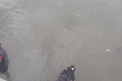 20250921_113917 20250921_113917