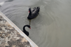 20250921_114035 20250921_114035