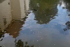 20250921_114614 20250921_114614