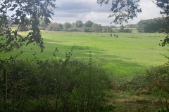 20250921_121955 20250921_121955