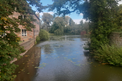 20250921_122641 20250921_122641