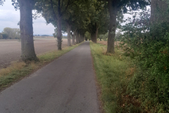 20250921_141126 20250921_141126