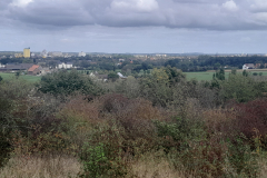 20250922_135002 20250922_135002