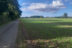 20250922_170438 20250922_170438