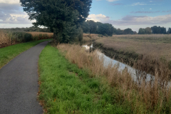 20250922_173603 20250922_173603