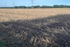 20250924_100401 20250924_100401