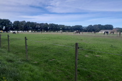 20250924_111330 20250924_111330