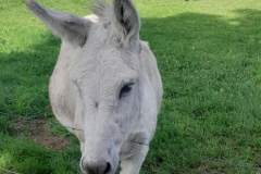 20250924_132732 20250924_132732