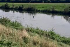 20250924_152215 20250924_152215