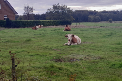 20250925_105509 20250925_105509