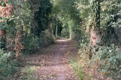 20250925_123152 20250925_123152