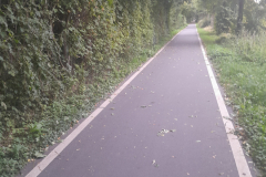 20250926_084335 20250926_084335