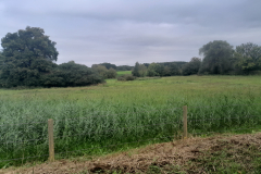 20250926_092225 20250926_092225