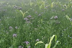 20250926_131023 20250926_131023