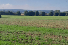 20250927_105329 20250927_105329