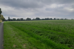 20250927_123012 20250927_123012