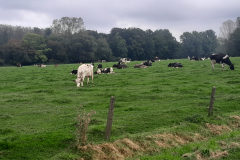 20250927_123559 20250927_123559