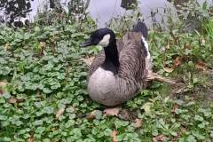 20250927_123900 20250927_123900