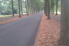 20250927_133336 20250927_133336