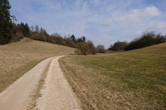 DSC_1530
