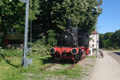 DSC_1168